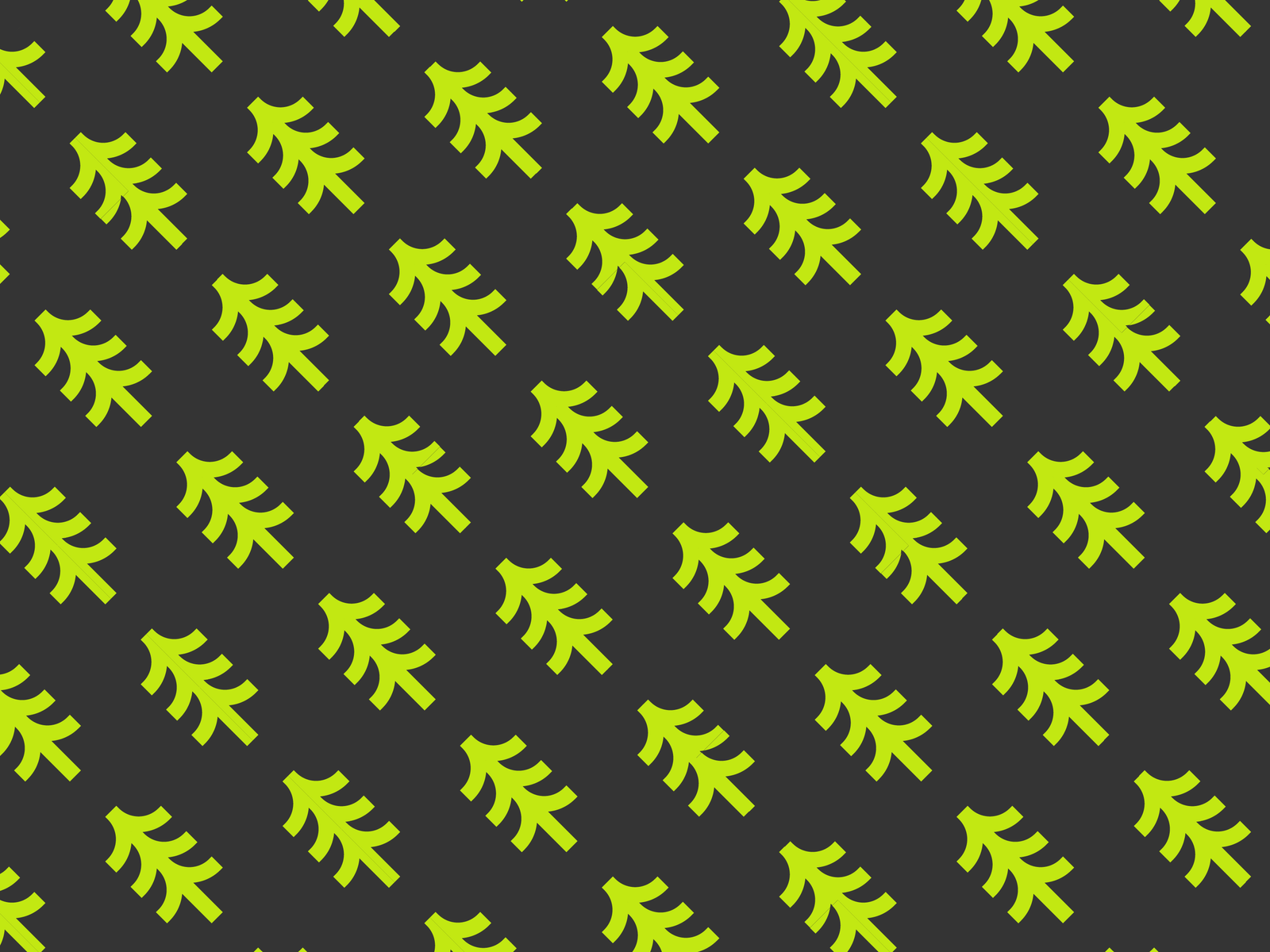 Pattern grafico Bouvet - brand identity outdoor